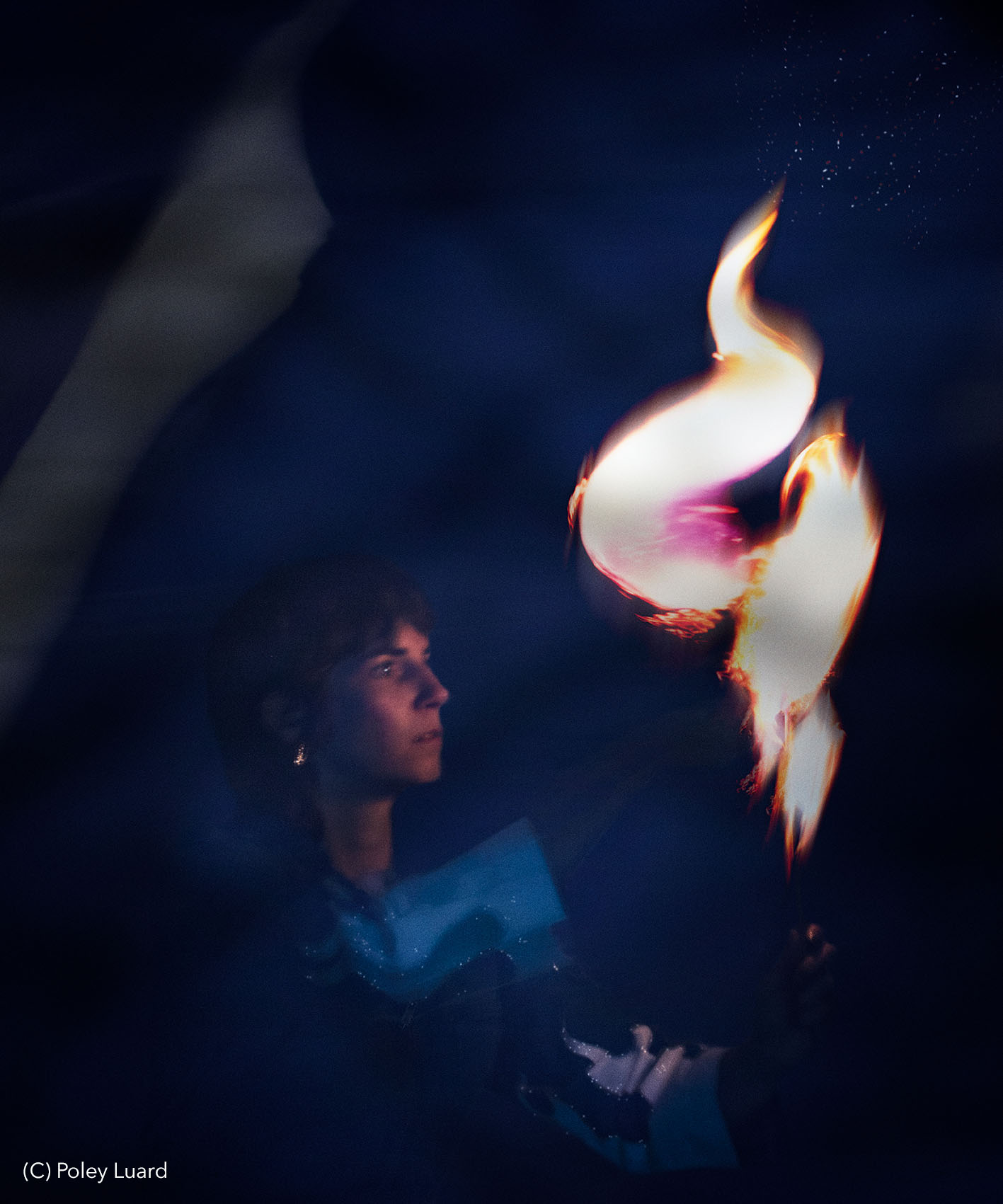 Copyright Poley Luard